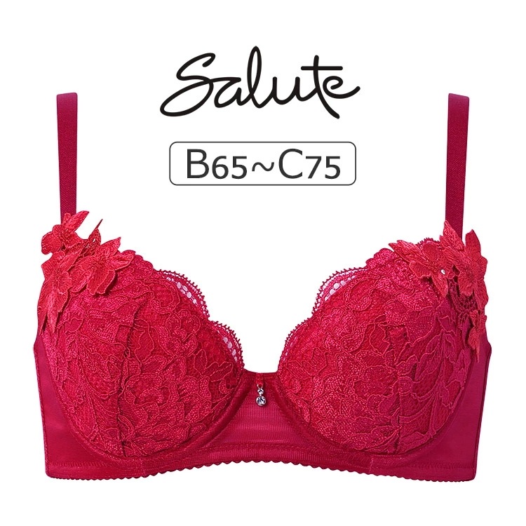 ワコール サルート 27G ブラジャー単品 女優Bra BCカップ アンダー 65/70/75cm BTJ727