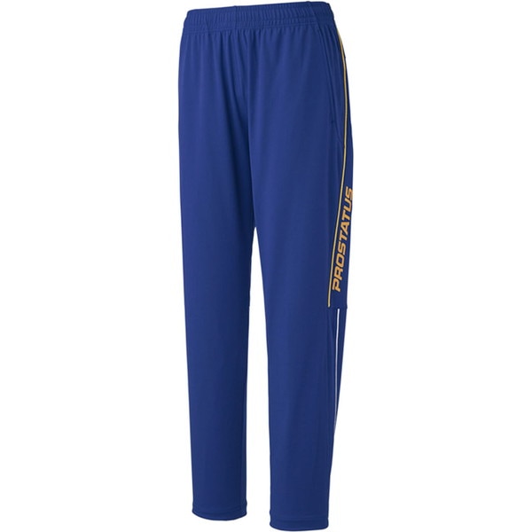 ZETT ゼット トレーニングウェア ロングパンツ プロステイタストレーニングパンツ 野球 トレーニングウェア BPRO202P-2500