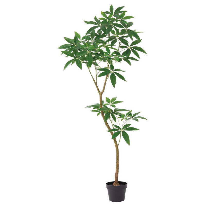 アスカ商会　フェイクグリーン パキラ グリ-ン　A-51111-051A