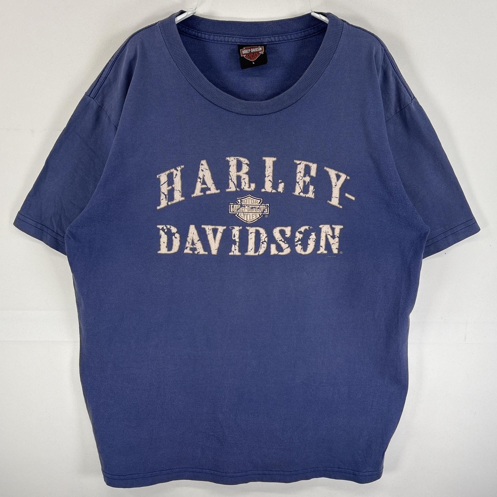 古着 半袖Tシャツ 両面 ラバープリント USA製 クルーネック L パープル系 メンズ