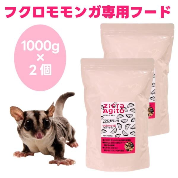 ジクラ アギト Zicra Agito フクロモモンガ専用フード 1000gx2個 1kgx2個 オッティモ15 ottimo15 小動物 餌