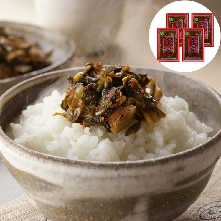 博多名物 からし高菜 2種食べ比べセット 計1kg 離島は配送不可 4080050 お歳暮 お中元 お土産 ご進物 ギフト 贈り物に最適