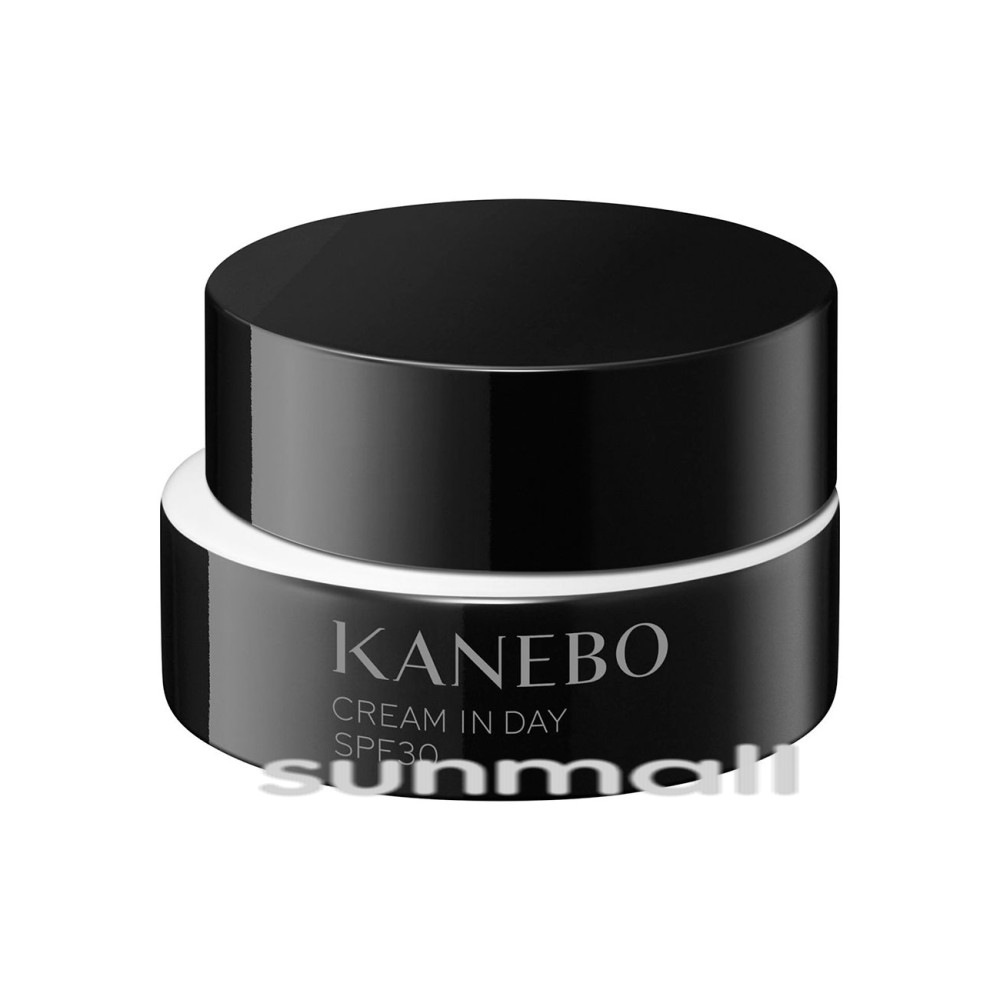 KAN EBO クリーム イン デイII 40g／SPF30・PA+++／朝クリーム［医薬部外品］正規品