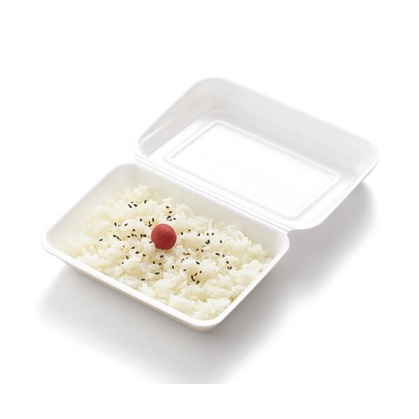 （まとめ）リスパック 発泡嵌合パック 小RLBE796 1パック（50枚）(×10セット)