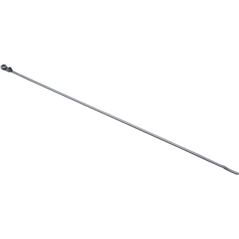 パンドウイット　パンドウイットネジ止めタイプステンレス爪ロック式結束バンド黒(100本入) 　BC4SS10C0