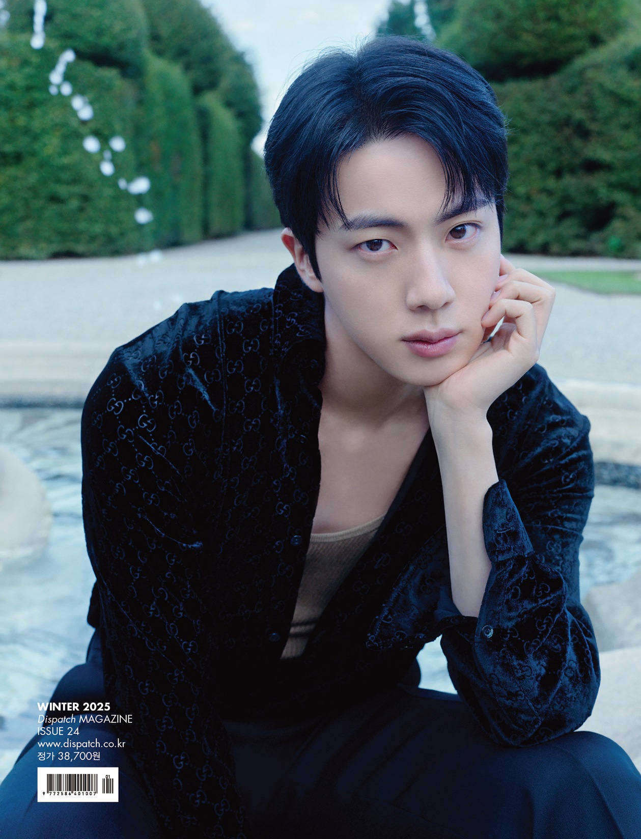 【未開封新品】ジンダイアイコン_ DICON VOLUME N24 JIN：A-D TYPE