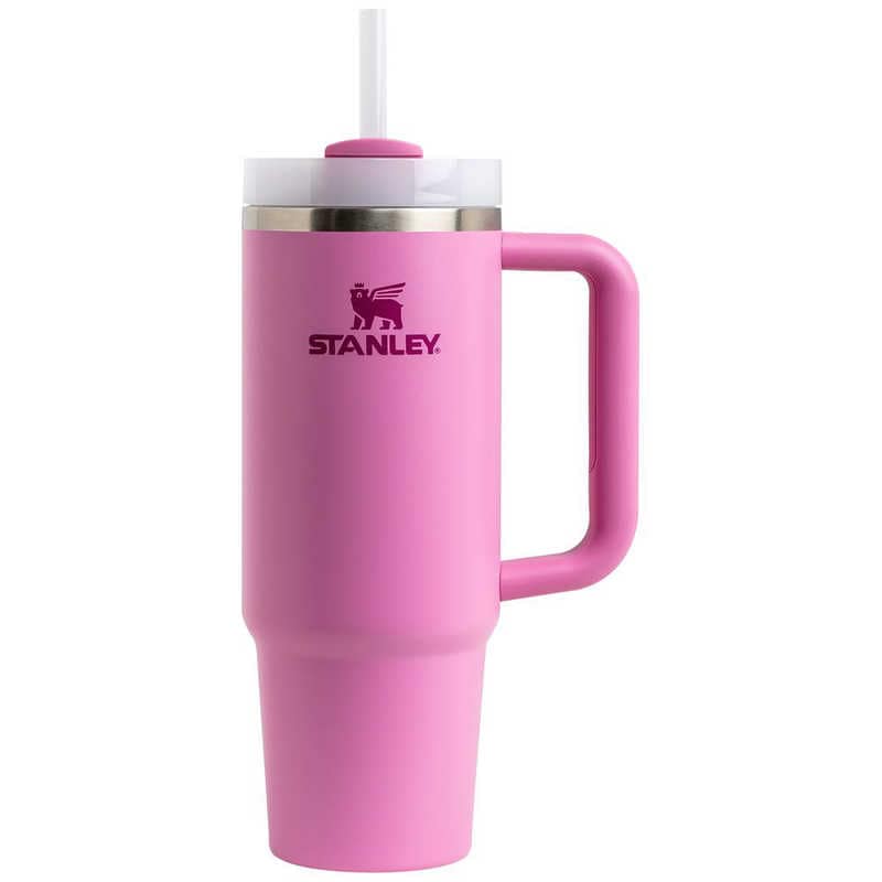 STANLEY　スタンレー アウトドア用品 ボトル H2.0 真空スリムクエンチャー 880mL ピオニー　1010827594