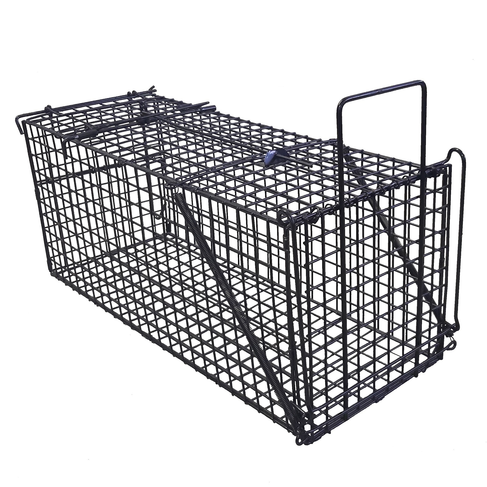 アニマルキャッチャー L 370ｍｍ×360ｍｍ×930ｍｍ TA-36 シンセイ 捕獲機 捕獲器 トラップ 害獣対策