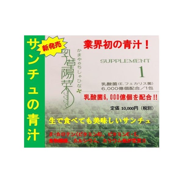 サンチュの青汁　乳草陽菜（ちしゃひな）30包　乳酸菌(E.フェカリス菌)6000億個配合