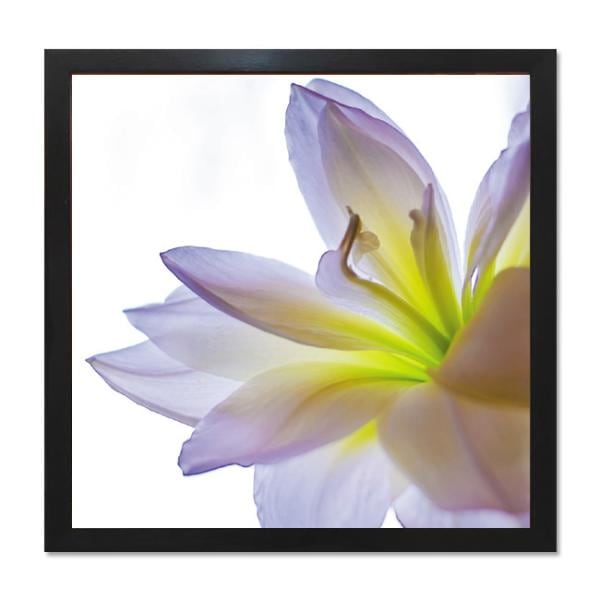 ファブリックパネル アートフレーム 飾り おしゃれ 花 優雅 壁掛け ウォールデコレーション 風景 情景 Lily リリー 400x400mm
