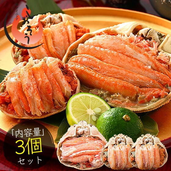 冬の味覚 甲羅盛りセット極 越前産ズワイガニ 中サイズ1個（甲羅横幅 約11cm）セイコガニ 小サイズ 70g前後2個（甲羅横幅 約7.5cm） 6,623円