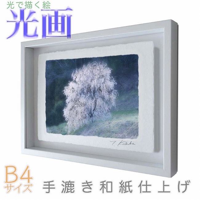 プロカメラマン片岡司 光画桜の妖精 B4サイズ 光で描く絵 手漉き和紙仕上げ 005-B4-ホワイト綺麗 背景 パステルカラー 和紙アート(21y8m)