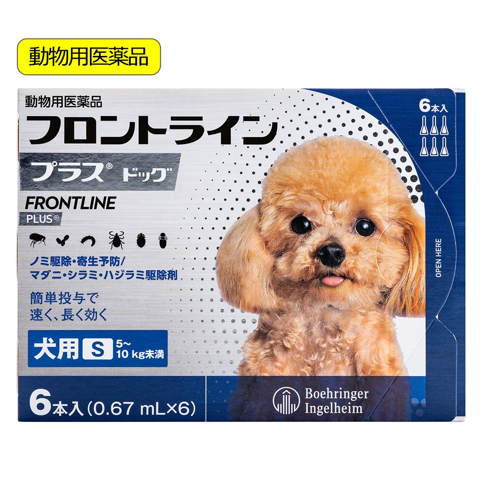 動物用医薬品　ドッグ　Ｓ　６本　動物用医薬品　ＣＲＣ40―81―00―00―00