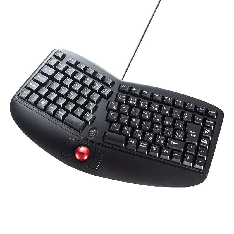 即納：サンワサプライ エルゴノミクスキーボード(トラックボール付き) 有線 USB接続 メンブレン 日本語109A配列 SKB-ERG5BK