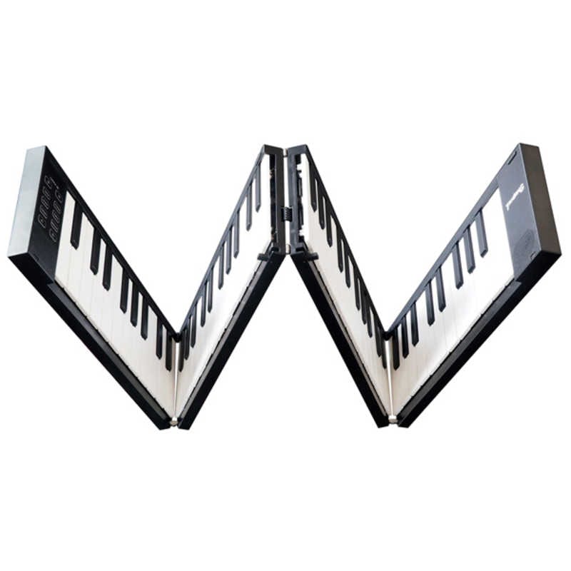 TAHORNG　折りたたみ式電子ピアノ/MIDIキーボード [88鍵盤]　OP88BK 17,908円