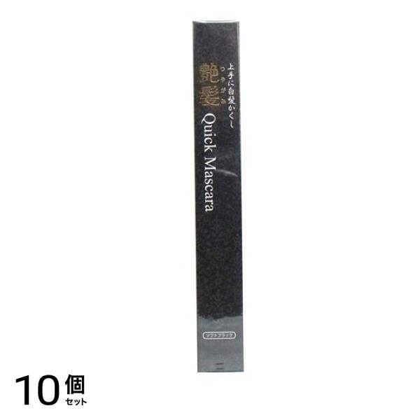 上手に白髪かくし 艶髪 クイックマスカラ ソフトブラック 15g 10個セット