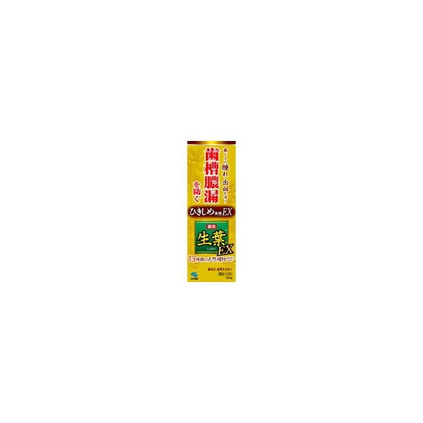 10個セット/薬用 生葉EX 100g [小林製薬]