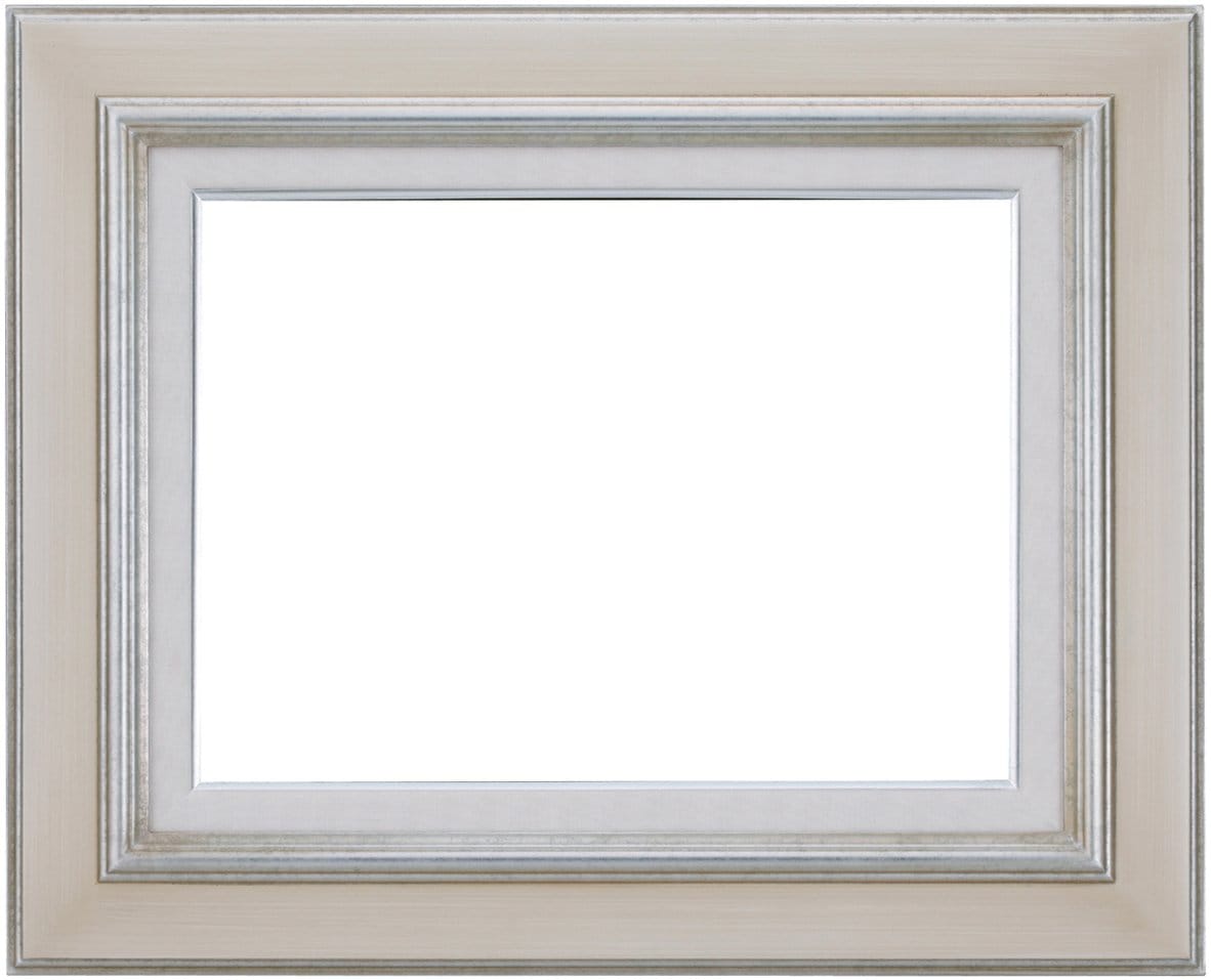 ラーソン・ジュール・ニッポン 額縁 A456 白/シルバー F3 アクリル A456322