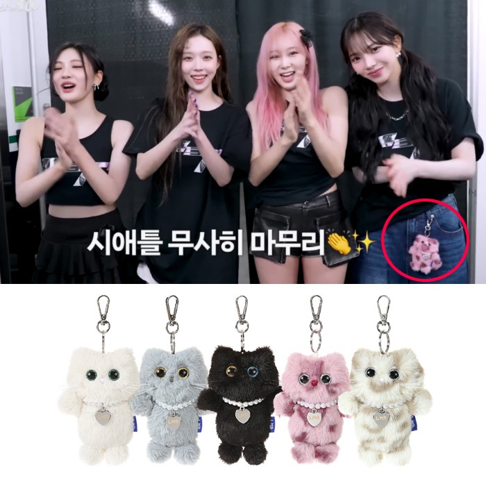 *【AESPA カリーナ 着用】ミニ商用キーリング, MINI SSANGNYOUNGEE KEY RING