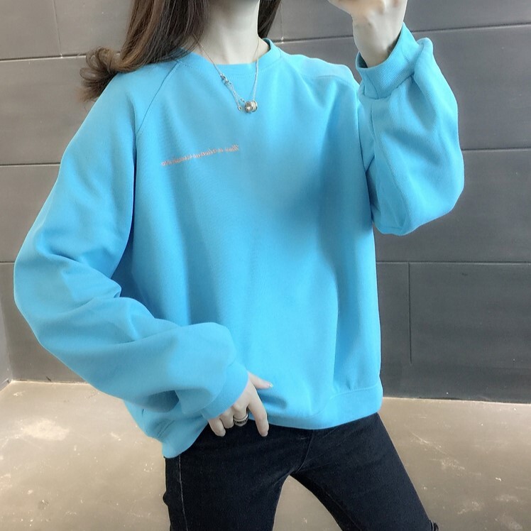 胸＆背中刺しゅう きれい色 トップス プルオーバー スウェット ミディアム丈 長袖 ラグランスリーブ 襟なし クルーネック バックシャン バックコンシャス 刺繍 かわいい 大人可愛い シンプル