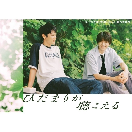 ひだまりが聴こえる Blu-ray BOX(Blu-ray Disc) ／ 中沢元紀/小林虎之介 (Blu-ray) VPXX-75196 14,835円