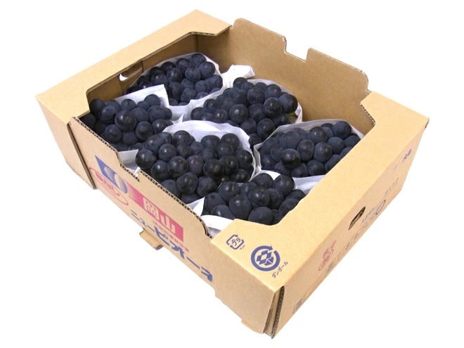 岡山産 種なし =ニューピオーネ= 秀品 特大5-6房 約5kg 予約 7月下旬以降 15,048円