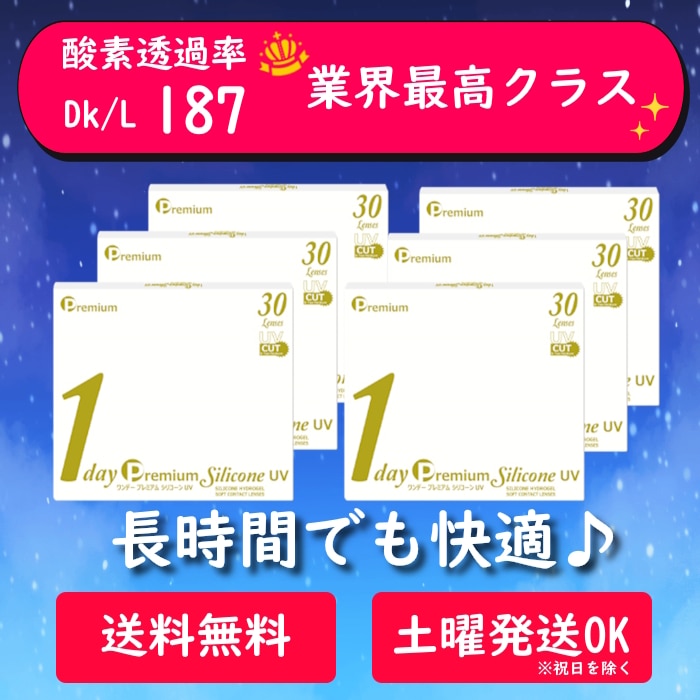 【30枚入 6箱セット】ワンデー プレミアム シリコーン UV／コンタクトレンズ／1day／計180枚／BC8.7／サイズ14.0mm