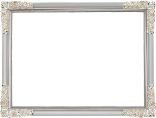 ラーソン・ジュール・ニッポン 額縁 D486 銀粉 八二 アクリル D486243