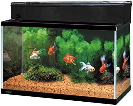 ジェックス GEX AQUARIUM ガラス マリーナ600BKS デュアルクリーンセット サカナ用