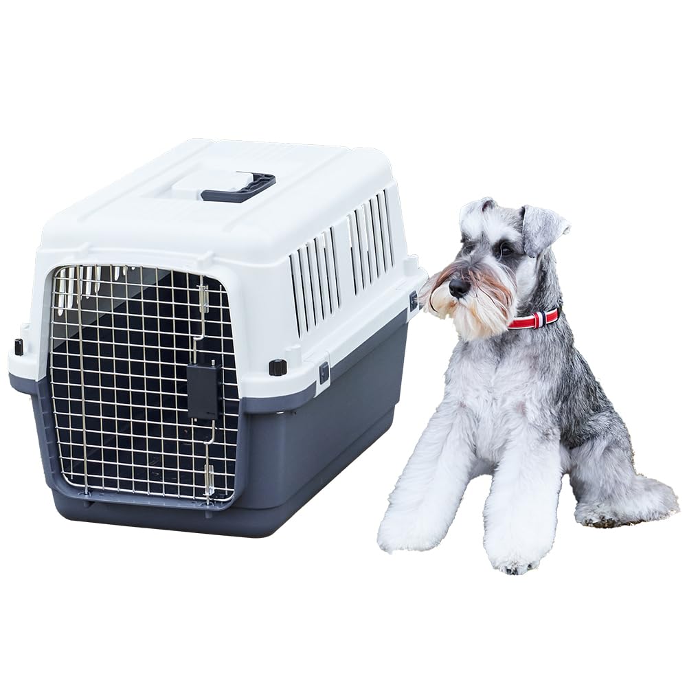 【OFT】 ペットケンネル ファーストクラス L60 【外寸】幅40×奥60.5×高40.5cm 本体重量(約)：3kg 犬 キャリー 猫 キャリー ペットキャリー ゲージ ハードキャリー 取っ手付き