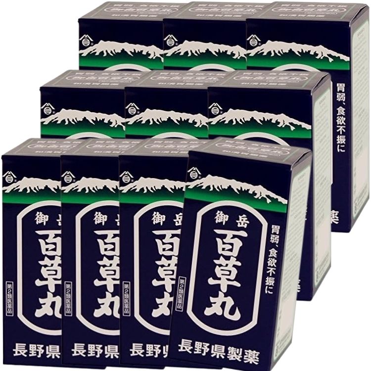 第2類医薬品 10個セット 長野県製薬 御岳百草丸 4100丸 胃腸薬 16,302円