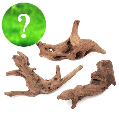 （水草）レイアウト素材水草セットＶｅｒ．上質流木　雅ーみやびー　（おまかせ前景草（水上葉）３種セット）（１セット）　ＣＲＣ12―23―30―00―00