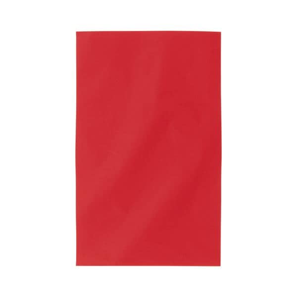 （まとめ） 店研創意ストア/エキスプレス 無地梨地ギフトバッグ レッド 200x320mm 1パック（20枚） [x10セット]