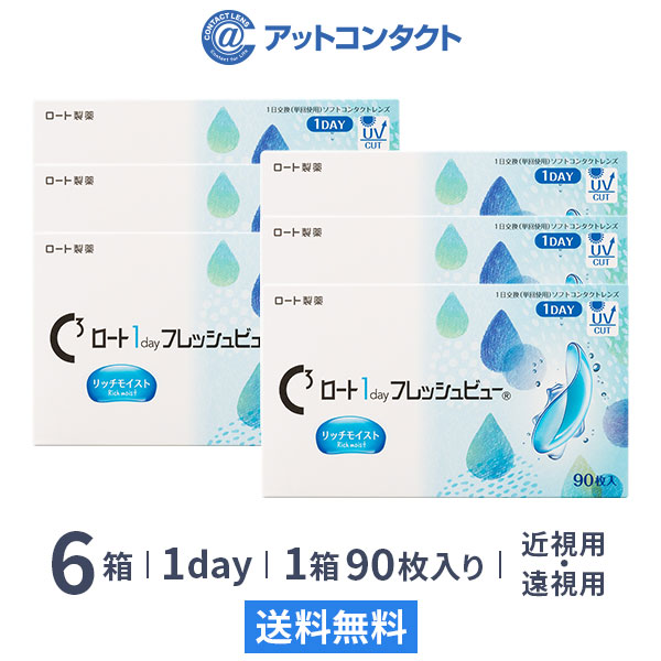 ロート ワンデーフレッシュビュー リッチモイスト 90枚 6箱 19,947円