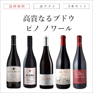 ワインセット 赤 高貴なるブドウ ピノ ノワールだけ 飲み比べ５本セット