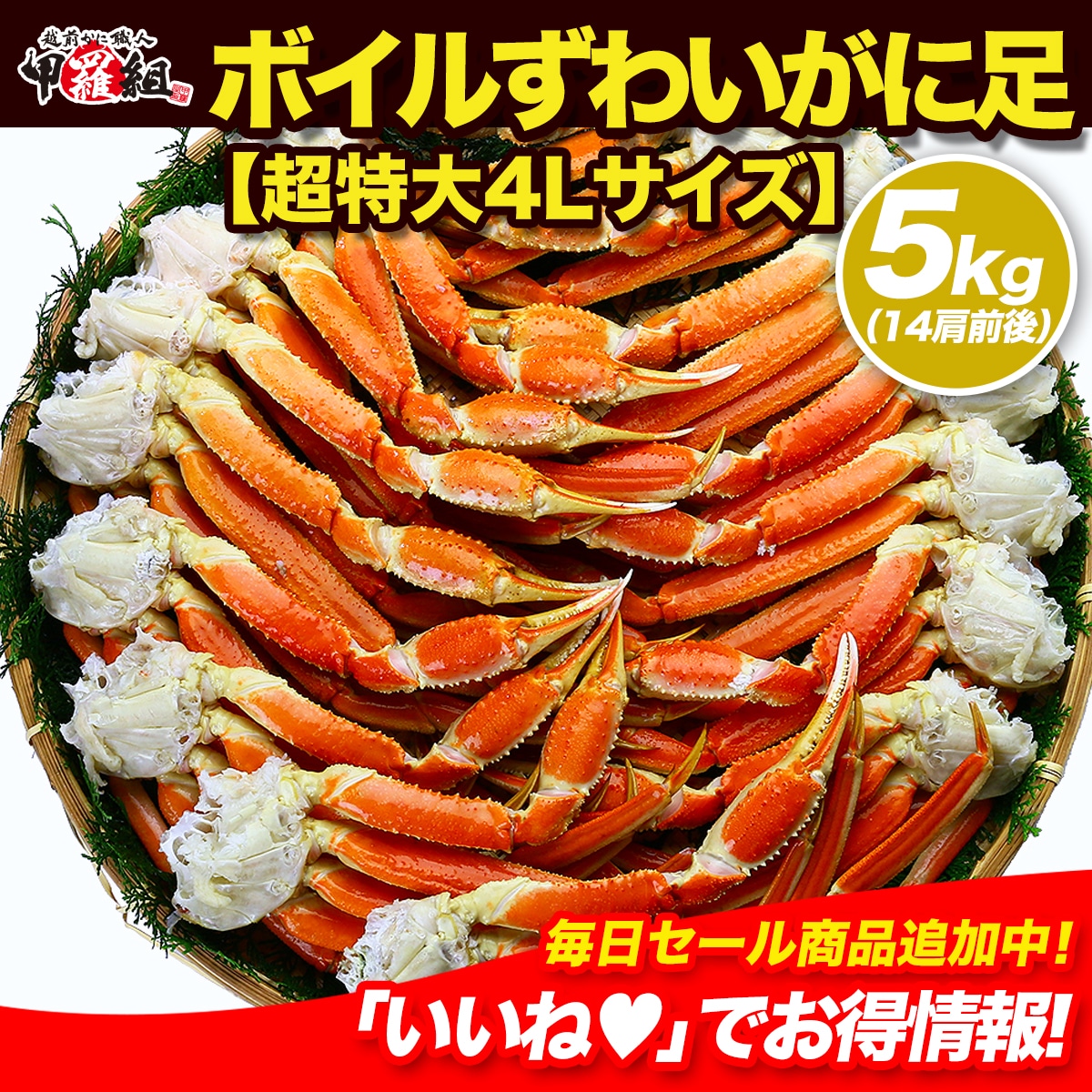 【業務用/産地箱】超特大ボイルずわいがに足5kg（4Lサイズ/約14肩入り）【カニ】【かに】【蟹】