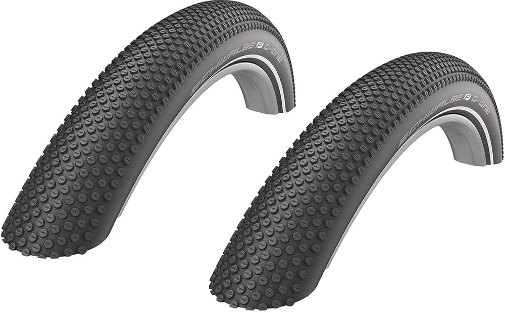 2本セット SCHWALBE(シュワルベ) G-One All round 29×2.25(57-622) Performance Line TLEタイヤ Black-Reflex ADDIX Rac