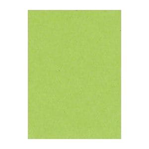 (まとめ) 文運堂 ニューカラーR 四ツ切 横392×縦542mm 4NCR-212 きみどり 100枚入 (×2セット)