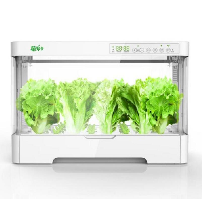 家庭用水耕栽培キット家庭菜園　やさい物語