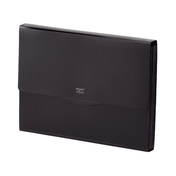 （まとめ） リヒトラブリクエスト 不透明ドキュメントファイル A4 13ポケット 黒 G5800-24 1冊 (×10セット)