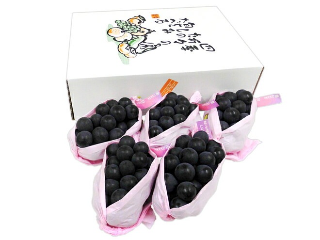 長野産 =ナガノパープル= 秀品 大房限定 3-6房 約3kg 化粧箱入り ぶどう　予約 9月以降　[K2]