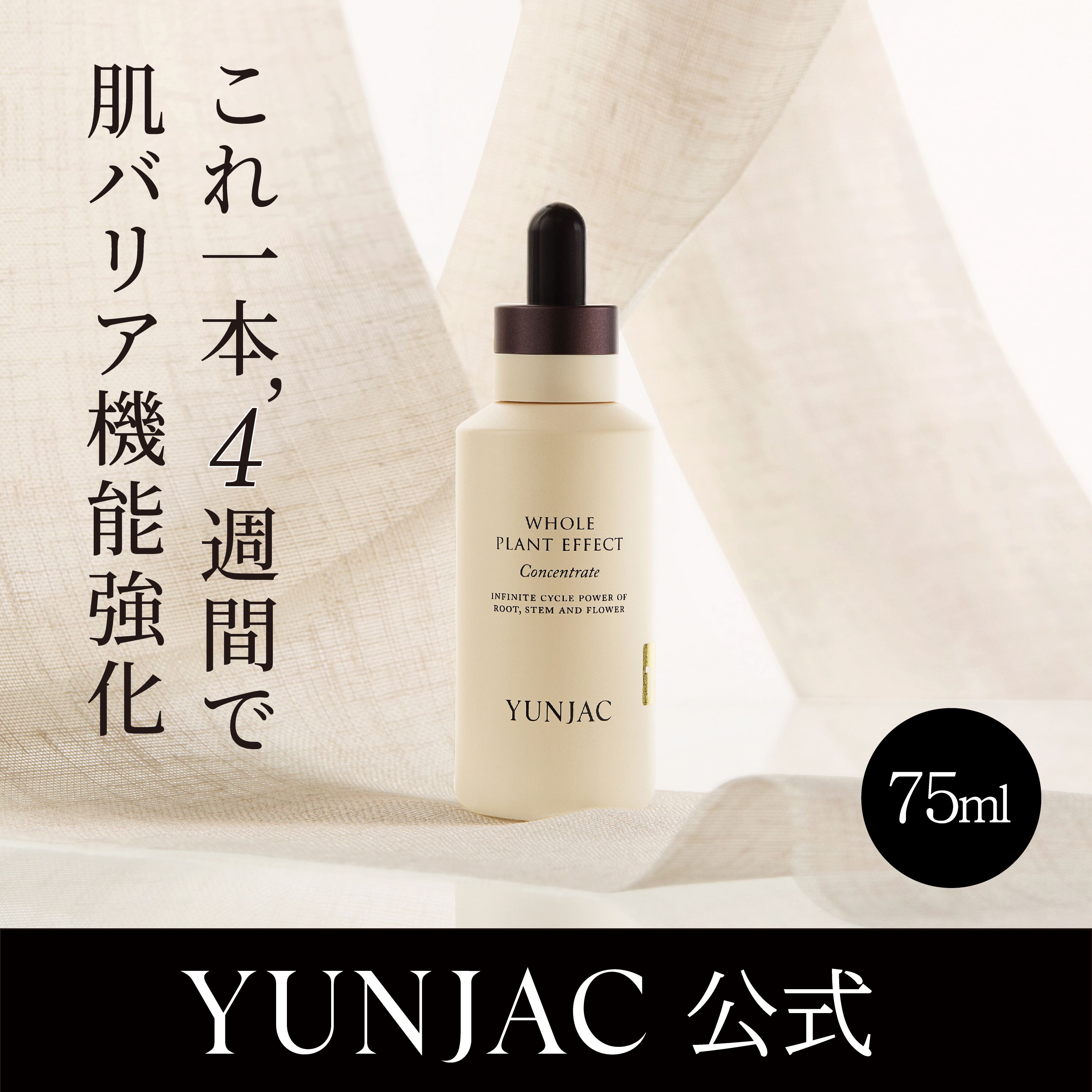 【乾燥ケア】【化粧ノリブースター】全草コンセントレイト 75ml 導入美容液/アンプル/美容液/エッセンス/セラム/保湿/高濃縮/鎮静/低刺激/ツヤ肌/美肌/スキンケア