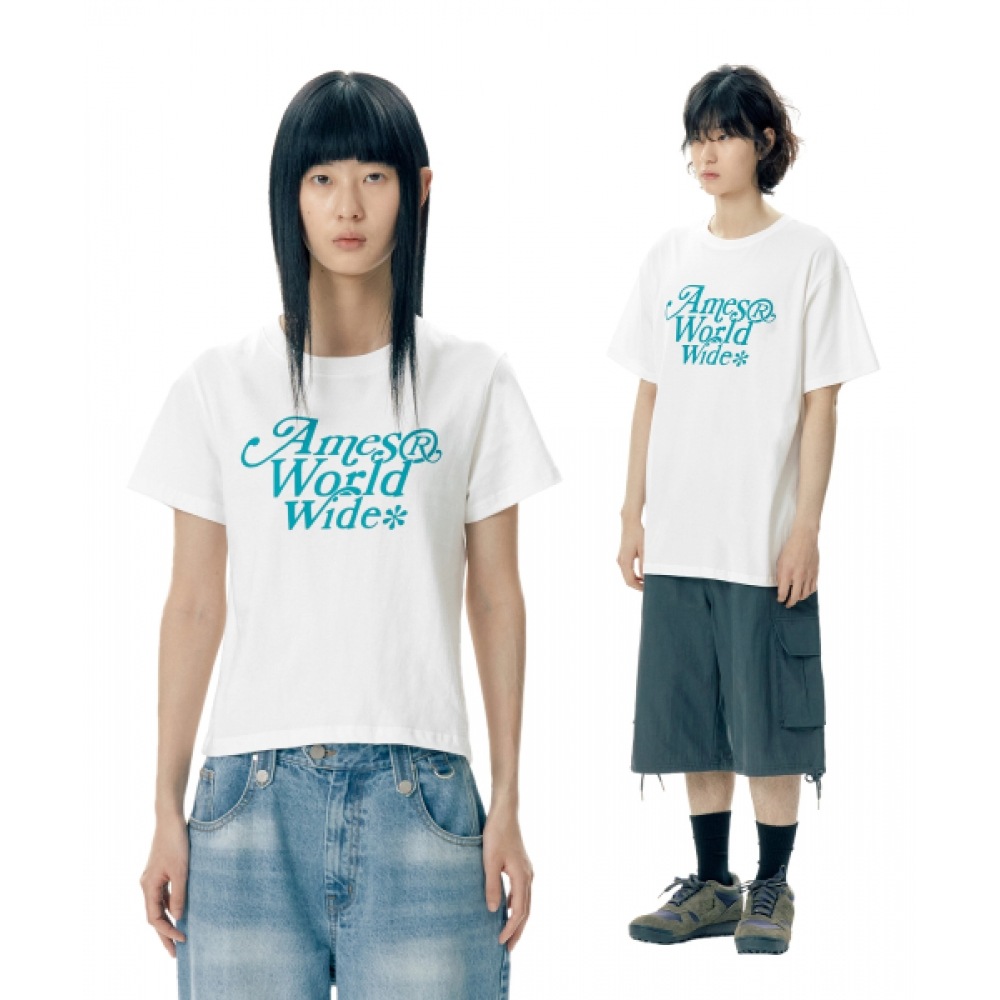 エイムズワールドワイドシグネチャービッグロゴ T シャツホワイト (AM2EMUT511A)