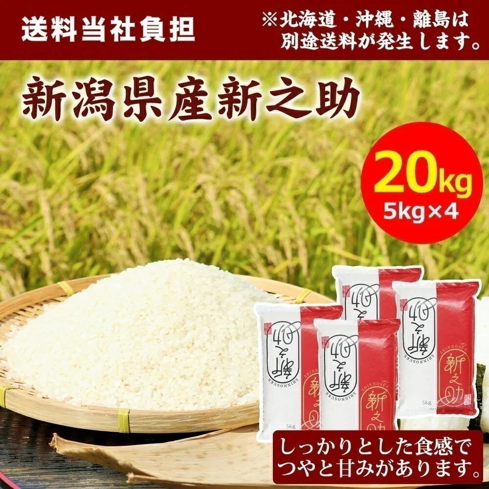【令和7年産】田中米穀 新潟県産 新之助 20kg(5kg×4袋) お米 おこめ 国産米 新米 ライス 美味しいお米 20kg 新潟