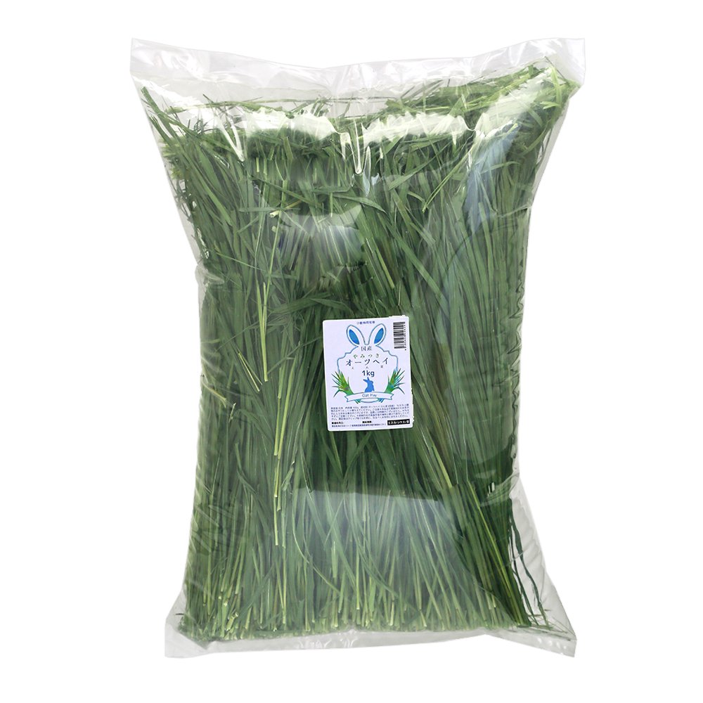 国産　やみつきオーツヘイ（えん麦）　１ｋｇ　窒素充填　業務用サイズ　牧草　うさぎ　モルモット　小動物　おやつ　ＵＳＡＹＡＭＡ　ＣＲＣ50―77―35―00―00