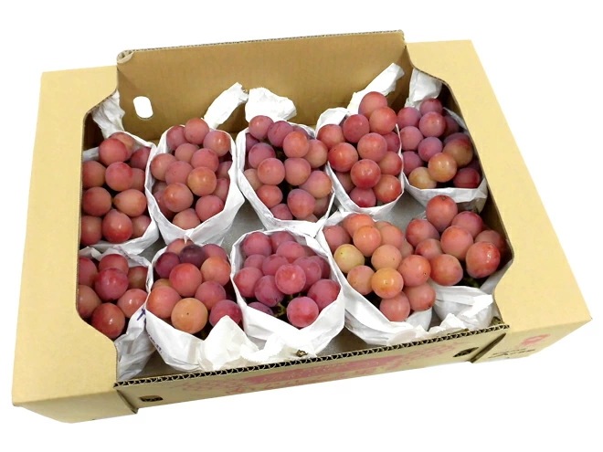 =クイーンニーナ= 秀品 5-10房 約5kg 産地厳選 赤ぶどう 予約 9月下旬以降