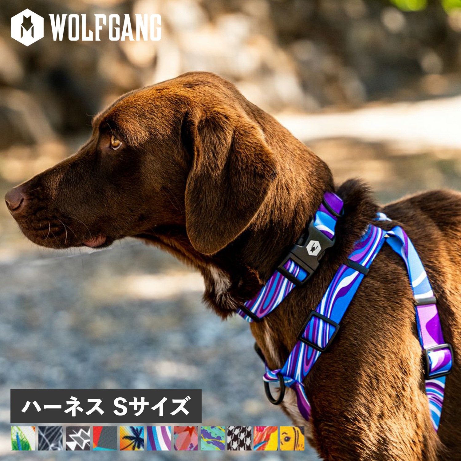 ハーネス 犬用品 小型犬 Sサイズ マン&ビースト MAN&BEAST
