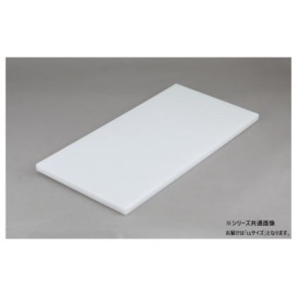 三洋化成 業務用まな板 20LL N