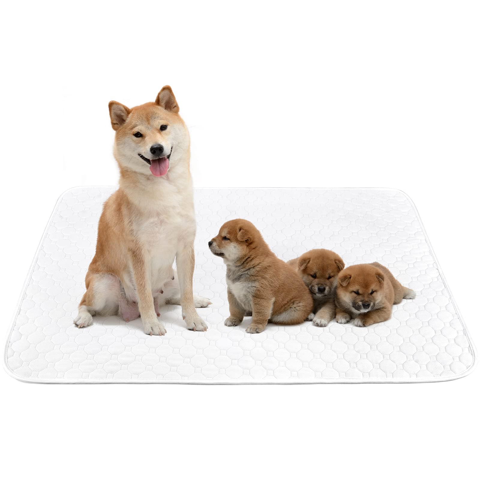 ペットシーツ 洗える 猫 犬用 おしっこパッド ペット用 トイレ下敷きマット 速乾 洗える 大判サイズ 多頭飼いに最適（ホワイトＸＬ 二枚セット）