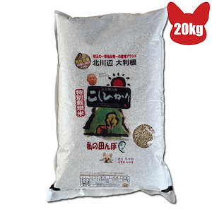 残留農薬ゼロ コシヒカリ 玄米 20kg 精米無料 令和３年 埼玉県北川辺産